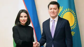 Госсоветник Ерлан Карин встретился с Саидой Мирзиеевой