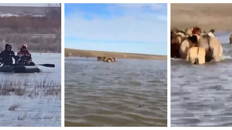 Кадры из видео: Polisia.kz