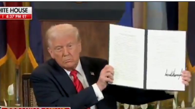 Кадр из видео: x.com/nicksortor