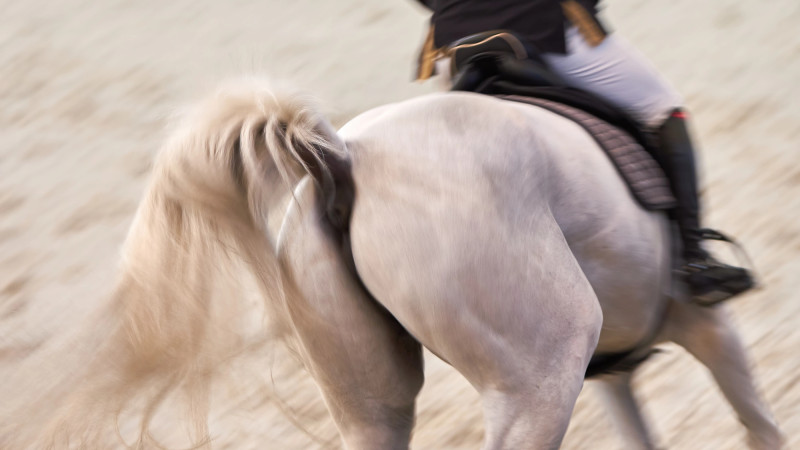 Фото:depositphotos.com