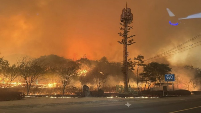 Фото: Х/@rogerJhering