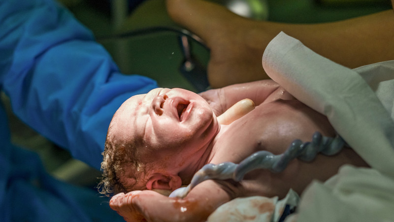 Фото:depositphotos.com