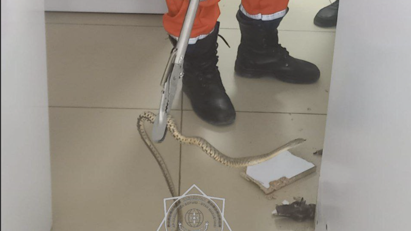 МЧС Казахстана