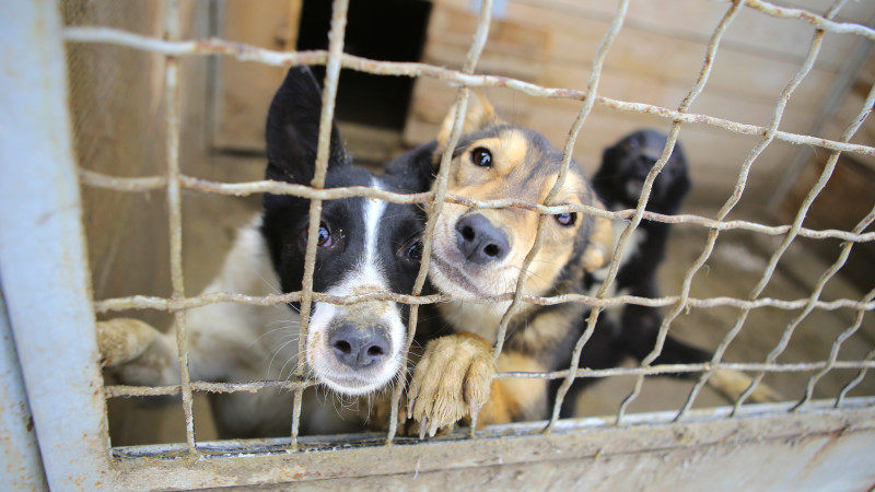 Фото:depositphotos.com