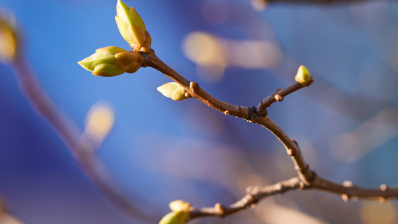 Фото:depositphotos.com