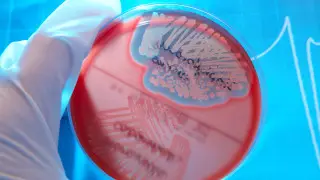 Массовое отравление в Мерке: министр Альназарова назвала причины