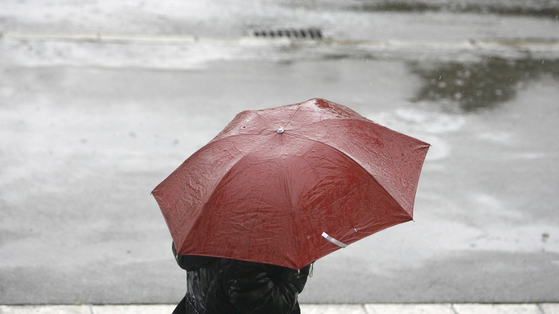 Фото:depositphotos.com