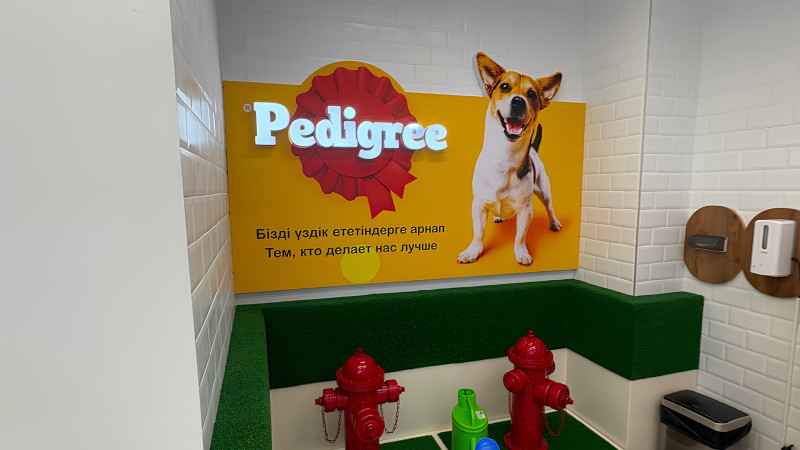 Фото: "Mars Казахстан"