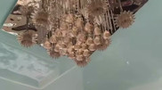 Ночное землетрясение на юге Казахстана: в зданиях появились трещины