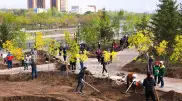 Где в Астане появятся новые зеленые зоны и общественные пространства