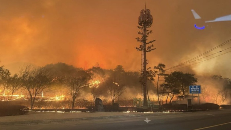 Фото: Х/@rogerJhering