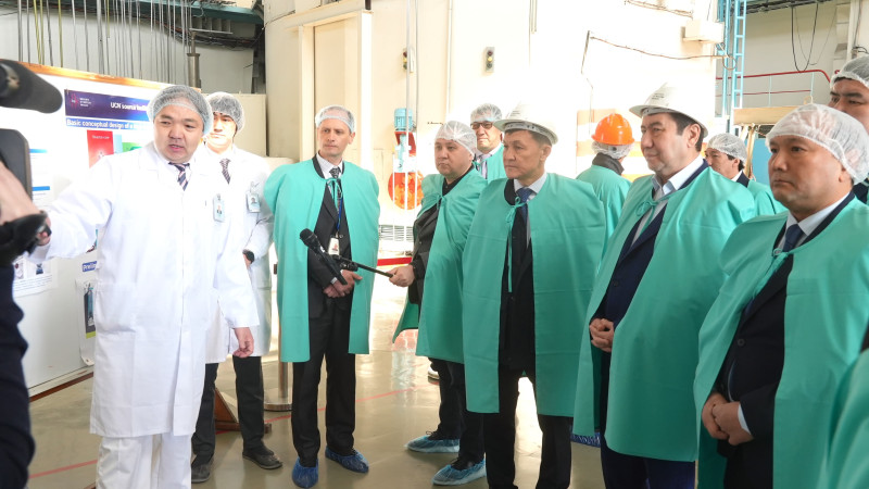 Фото: пресс-служба Мажилиса РК.