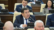 Депутат о скандальном фото с флагом Казахстана: Провокация была спланирована заранее