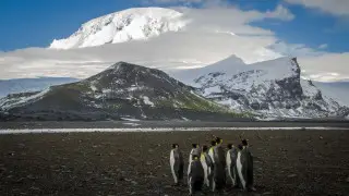 Трамп ввел 10-процентные пошлины в отношении необитаемых островов