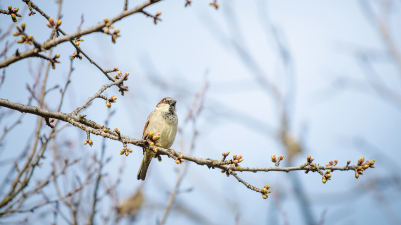Фото:depositphotos.com