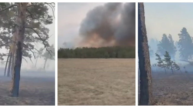 Кадры из видео