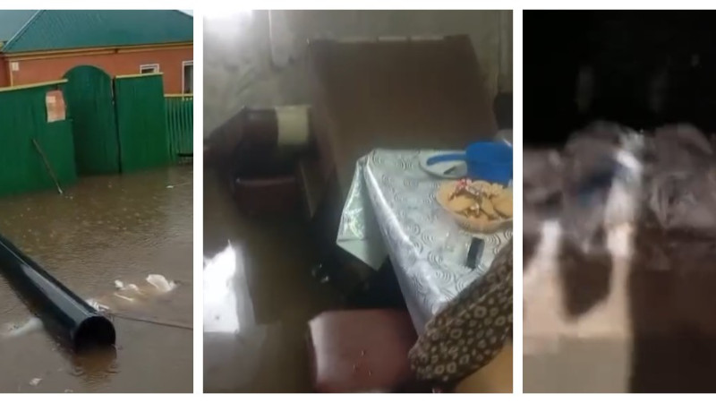 Кадры из видео: instagram.com/makinsk_blog