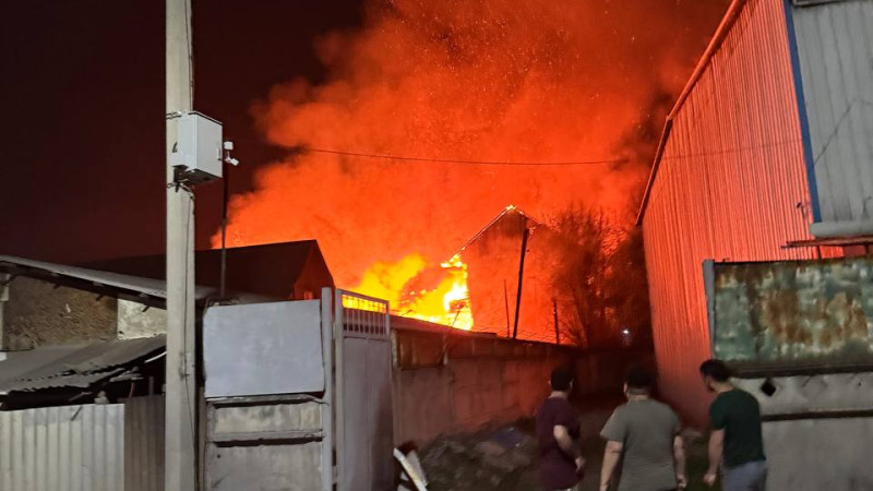 Фото ©️ Tengrinews.kz