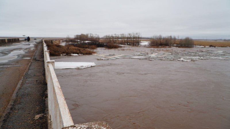 Фото; пресс-служба акимата Акмолинской области