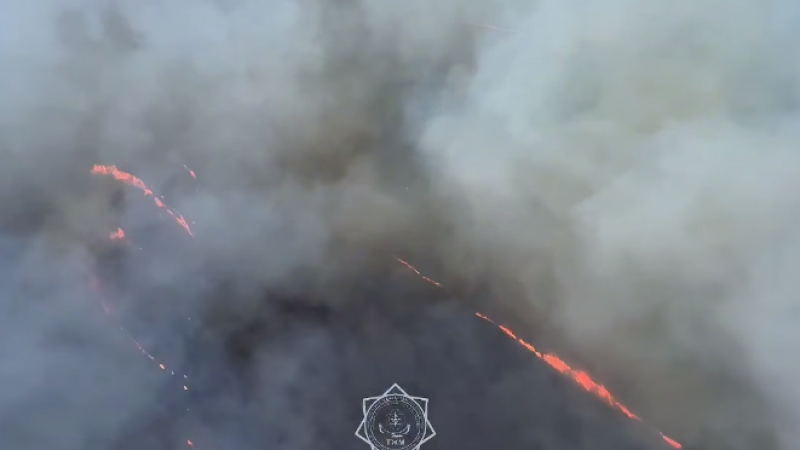 Кадр из видео: ДЧС области Абай