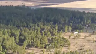 Лесной пожар в области Абай локализован