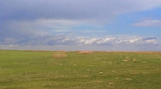 Земельные участки возвращают в госсобственность под Астаной