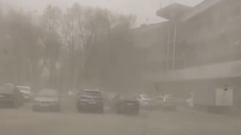 Кадр из видео