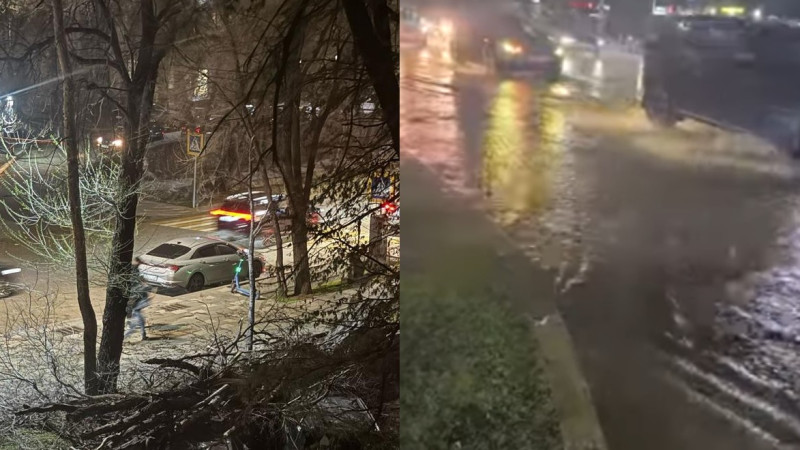 Кадры из видео: Tengrinews.kz