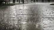 Грозы и ливни: синоптики предупредили о непогоде жителей 17 областей, Алматы и Астаны