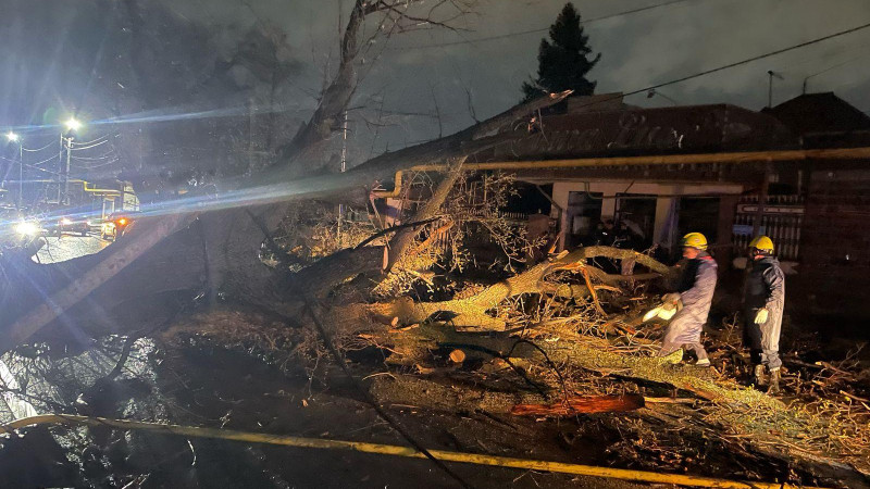 Фото пресс-службы акимата Алматы