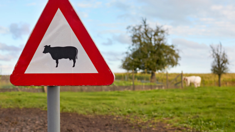 Фото:depositphotos.com