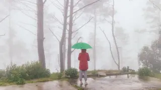 Где будет дождь и туман? Прогноз погоды в Казахстане на 9 апреля