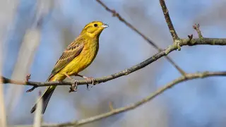 Сильные дожди и заморозки в Казахстане - предупреждение синоптиков