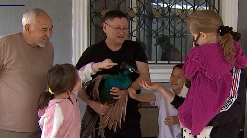 Кадр из видео "КТК"