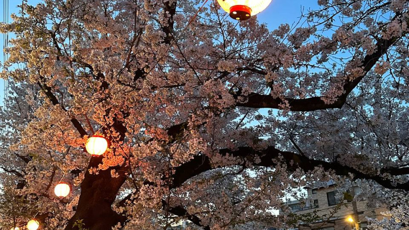 фото: Амир Казбек