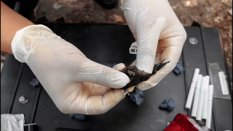 Иллюстративное фото: polisia.kz