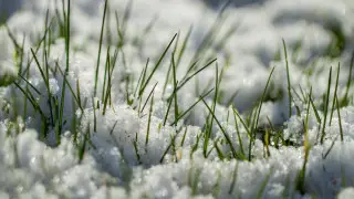 От жары до снега: какая погода будет в Астане и Алматы