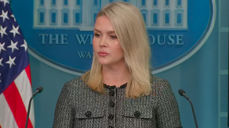 Официальный представитель Белого дома Каролин Левитт. ©️ Fox News