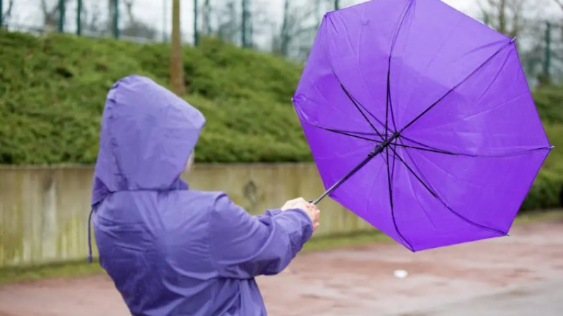 Фото:depositphotos.com