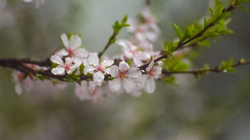 Фото:depositphotos.com