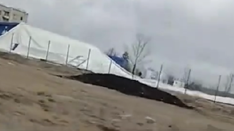 Скриншот видео / соцсети