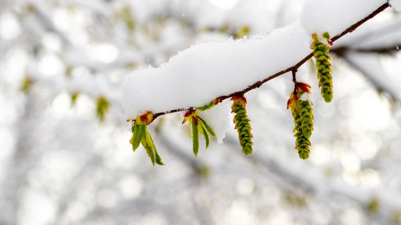Фото:depositphotos.com