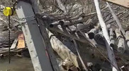Переход через мост обернулся трагедией: двое погибли, один пропал