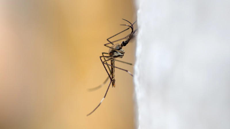 Фото:depositphotos.com