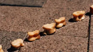 Наградили, а потом забрали медали: скандал разгорелся в одном из детсадов Костаная