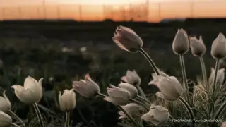 Гроза и град, но тепло: какой будет погода в Казахстане 26 апреля