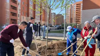 “Собирались целыми подъездами“. Как 100 тысяч астанчан убирали улицы города