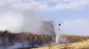 Более 150 человек тушат лесной пожар в Карагандинской области