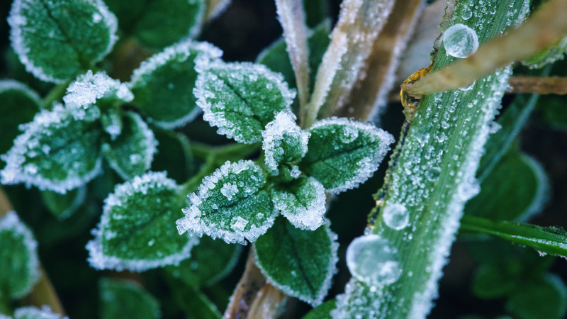 Фото:depositphotos.com