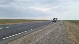 Животные под колесами, штрафы хозяевам: чем обернулась новая трасса на западе Казахстана